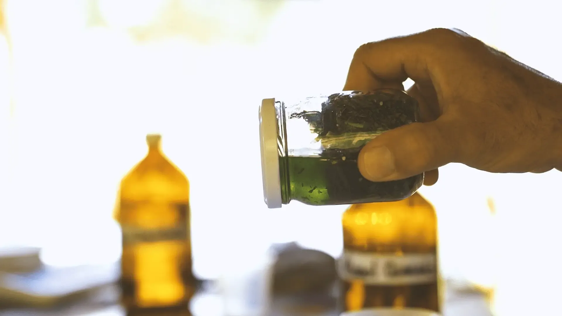 Preparo de remédio natural com plantas medicinais